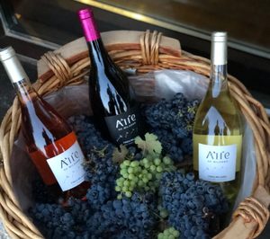 Familia Vivanco presenta su primer proyecto vinícola fuera de Rioja