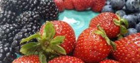 Flor de Doñana invierte en sus instalaciones y fincas