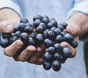 China abre las fronteras a la uva de mesa española