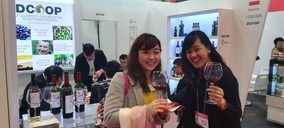 La sección de vinos de Dcoop impulsa su facturación y avanza en embotellado