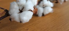 Cotton South incrementa sus inversiones