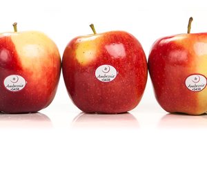 Ambrosia comienza la fase central de campaña con un 45% de producto vendido