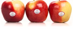 Ambrosia comienza la fase central de campaña con un 45% de producto vendido