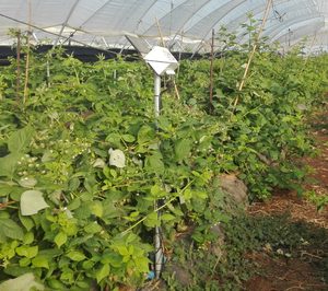 CoopHuelva inicia su proyecto integral de agricultura 4.0