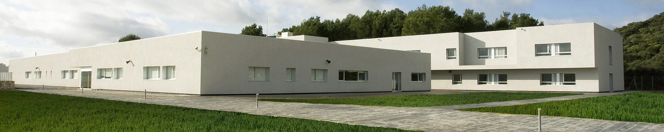 Informe 2020 del sector geriátrico en Baleares