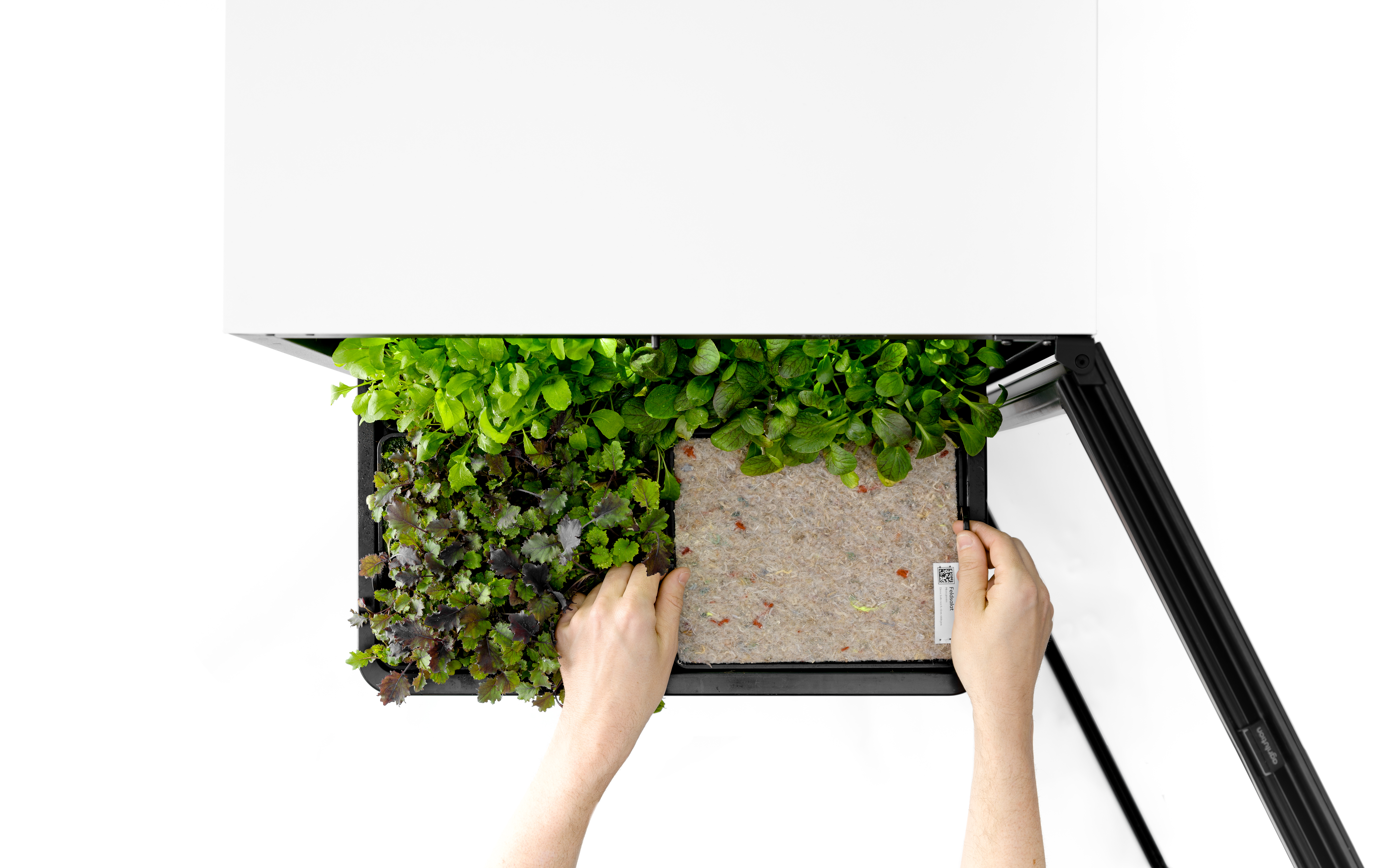 Miele se diversifica y apuesta por la agricultura vertical en el hogar tras comprar Agrilution