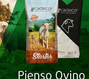 La zaragozana Agroveco inicia las obras de mejoras de su planta de piensos