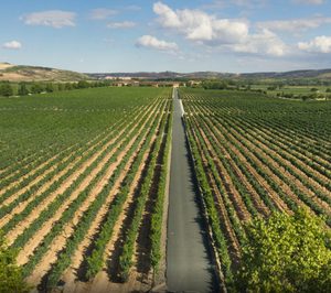 Resultados positivos para las cotizadas Barón de Ley y Bodegas Riojanas