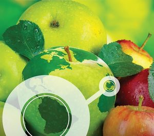 El grupo Transitex incrementa sus ingresos y multiplica flota