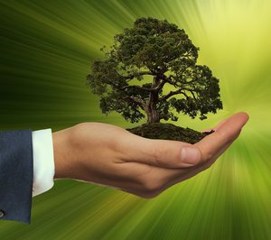 ¿Cómo contribuyen las empresas de limpieza a la protección del medioambiente?