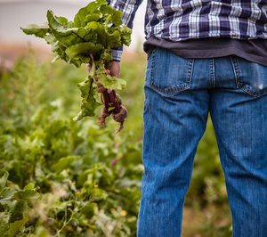 El músculo del Sector Hortofrutícola, esencial en la crisis sanitaria