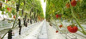 Syngenta pone en marcha su nuevo centro de I+D específico para tomate