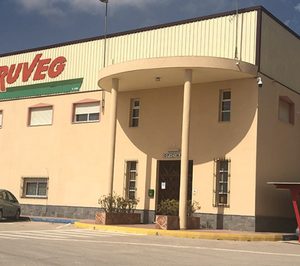 Coop. Fruveg sigue creciendo en melón y mejora sus instalaciones