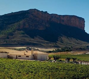 Gil Family States focaliza las inversiones en sus proyectos de nuevas bodegas