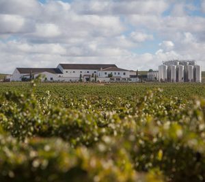 J. Fernando Family Wines invierte más de 9 M en una bodega en Rueda