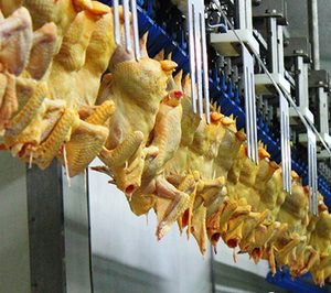 Vall Companys continúa reforzando su negocio con nuevas operaciones