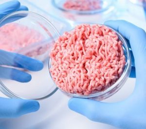 El programa de carne de cultivo Meat4All de Biotech Foods recibe 1,9 M de la Unión Europea