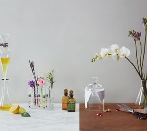 Fuerte crecimiento en las ventas de Cosmo International Fragrances, un año después de la absorción de Cosmo Fragrances