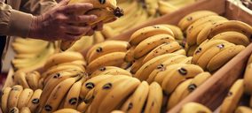 Plátano de Canarias se alía con Glovo para acercar la frutería de barrio al consumidor