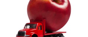 Informe 2021 sobre Transporte Hortofrutícola