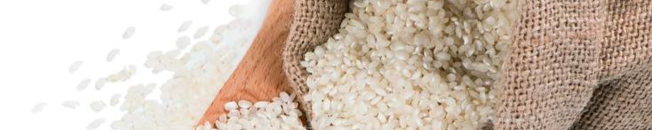 Informe 2021 del sector de Arroz en España