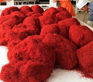 Saffron Packers prevé crecer en 2021, prepara inversiones y ultima lanzamientos