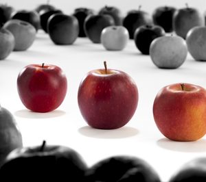 VOG y VIP presentan las nuevas manzanas Giga, Cosmic Crisp y RedPop