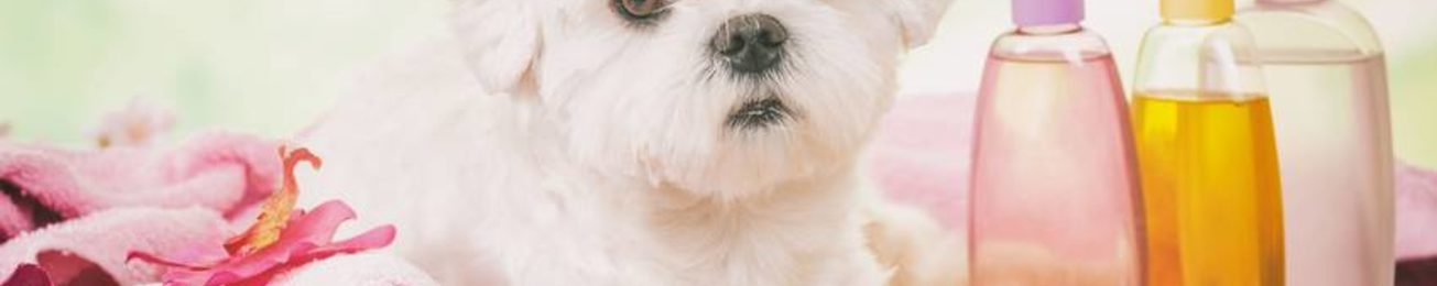 La higiene para mascotas capta el interés de nuevas empresas