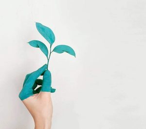 ¿Qué planes tienen las productoras de insectos Tebrio o Galinsect en alimentación humana?