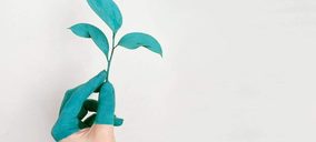 ¿Qué planes tienen las productoras de insectos Tebrio o Galinsect en alimentación humana?