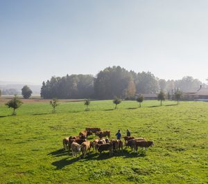 El sector cárnico ultima la redacción del proyecto NextGenerationUE