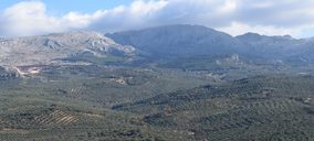 Dcoop creará una nueva área de actividad en colaboración con otro grupo agroindustrial