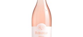 Bodegas Barbadillo modera el impacto de la pandemia y presupuesta nuevas inversiones