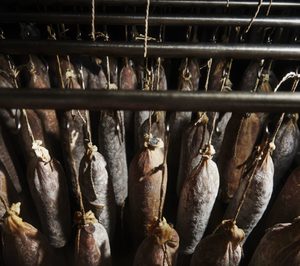 Splendid Foods: primeros datos del éxito de su digitalización