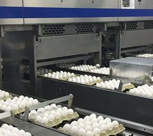 El mercado de huevos mantiene la inversión, pese a los menores márgenes