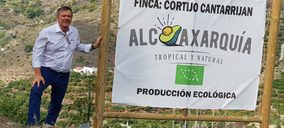 Junto al aguacate, los cítricos se hacen un hueco en las inversiones de Alcoaxarquía