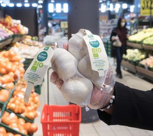 Las frutas y hortalizas, protagonistas de la cesta de la compra ecológica