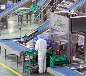 Entrepinares superará los 400 M e invierte en envasado,capacidad y almacenamiento