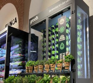 Groots abre la vía de la agricultura vertical en la distribución organizada nacional