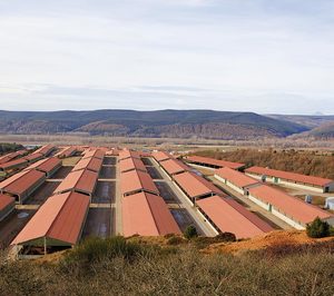 Miguel Vergara crece a doble dígito tras finalizar la ampliación de sus instalaciones