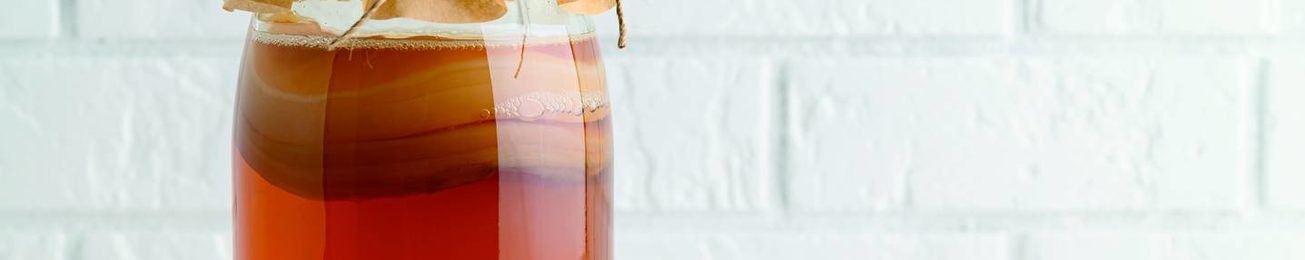 Informe 2022 del mercado de Kombucha en España