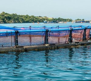 Avramar inicia el proyecto de Calpe y reorganiza su estructura