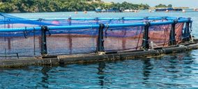 Avramar inicia el proyecto de Calpe y reorganiza su estructura