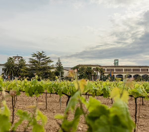 Vallformosa remonta en positivo sus resultados de 2021 acercándose a las cifras previas al Covid