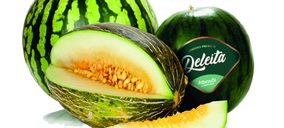 Albasol Fruit ultima su proyecto para debutar en el sector de melón y sandía