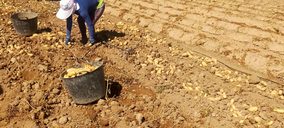 GV el Zamorano apuesta por el ahorro energético y el agritech en sus cultivos