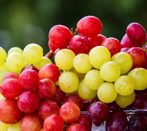 Grupo Fuertes y El Ciruelo sellan su relación con la joint-venture Ag Grapes