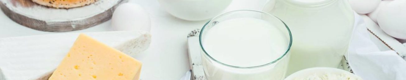 Ponemos el Foco en Alimentos con Proteínas