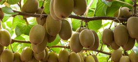 Zespri celebra la firma del tratado de libre comercio entre Nueva Zelanda y la Unión Europea