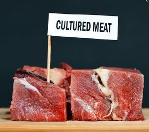 Prolific lanza su enfoque Henry Ford en carne cultivada la misma semana que Joe Biden respalda su avance en EE.UU.